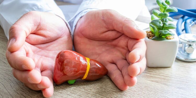 Fígado - Créditos: depositphotos.com / Shidlovski