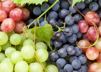 Não compre uvas se elas tiverem esse detalhe, segundo um verdureiro