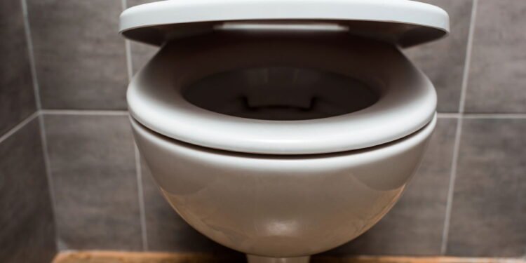 Por que eles recomendam jogar sal no vaso sanitário todas as noites