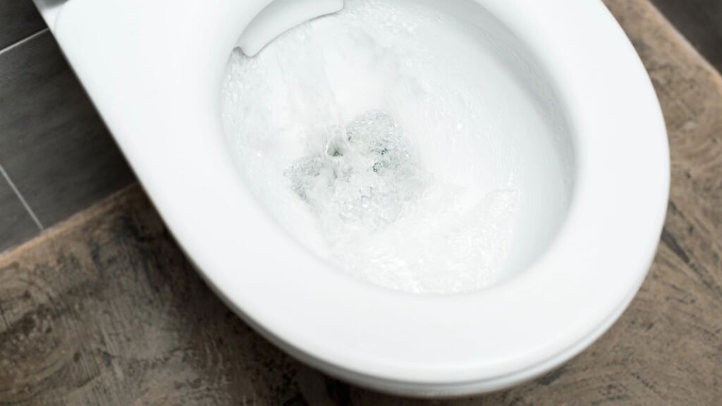 Por que eles recomendam jogar sal no vaso sanitário todas as noites