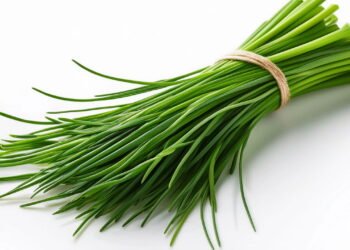 Descoberto os poderes da cebolinha para a saúde e surpreendem