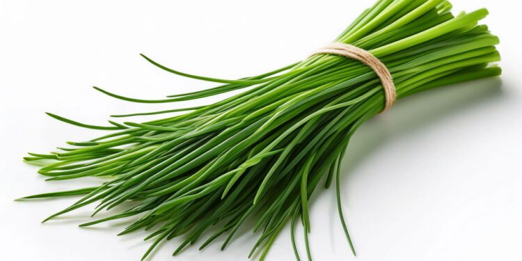Cebolinha Verde - Créditos: depositphotos.com / Danylka