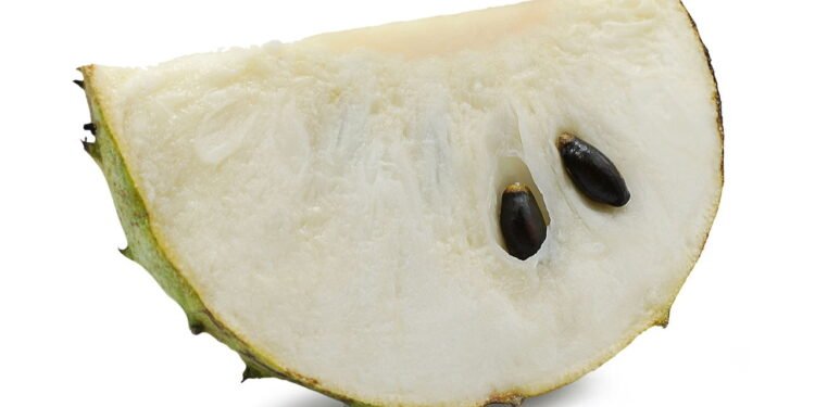 Graviola - Créditos: depositphotos.com / Anny-ben