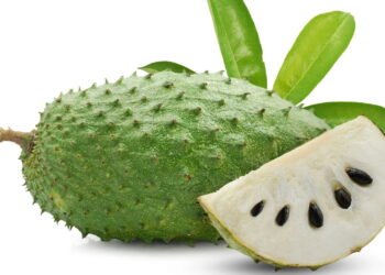 Descoberto efeito surpreendente da graviola no corpo humano