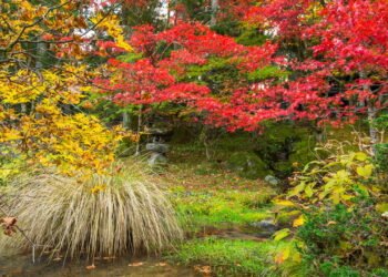 Os destinos mais incríveis que mudam de cor a cada estação do ano