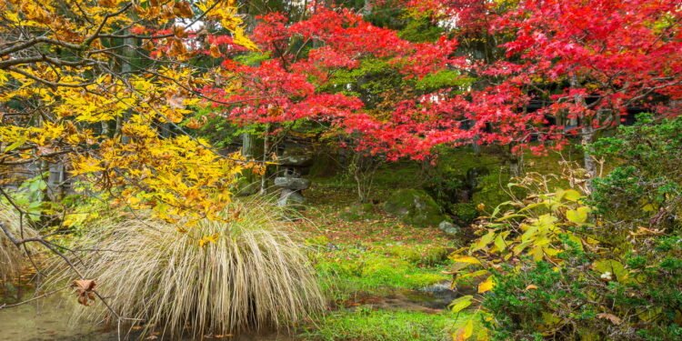 Parque Nacional de Nikko - Créditos: depositphotos.com / Patryk_Kosmider