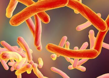 Esta doença tratável pode matar 2 milhões de pessoas nos próximos 5 anos