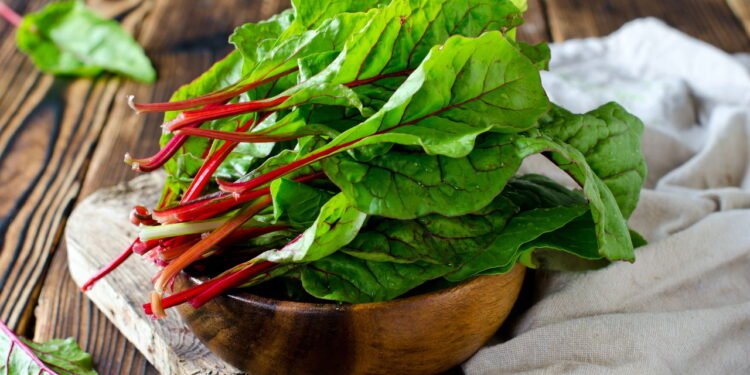 Não é só água: como lavar a acelga corretamente para remover a sujeira
