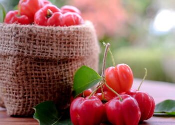 Esta fruta tropical resiste ao calor e frutifica várias vezes por ano