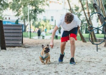 Adestrador lista 3 coisas que você deve e não deve fazer para ensinar seu cão a vir quando chamado