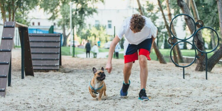 Adestrador lista 3 coisas que você deve e não deve fazer para ensinar seu cão a vir quando chamado