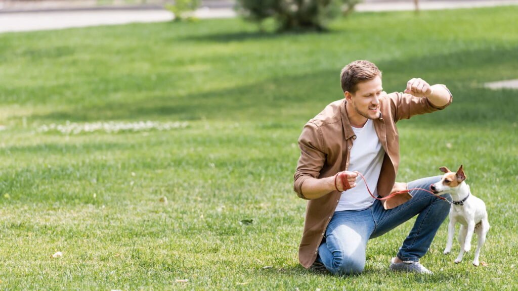 Adestrador lista 3 coisas que você deve e não deve fazer para ensinar seu cão a vir quando chamado