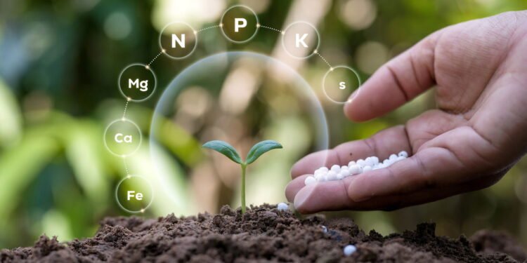 O adubo mais fácil e eficiente para suas plantas crescerem saudáveis