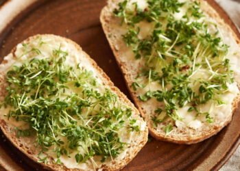 Este alimento acaba de ser eleito o mais saudável do mundo, segundo a ciência