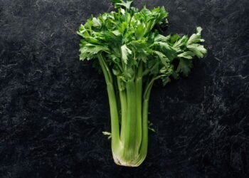 Exatamente o que acontece com seu corpo se você comer aipo diariamente