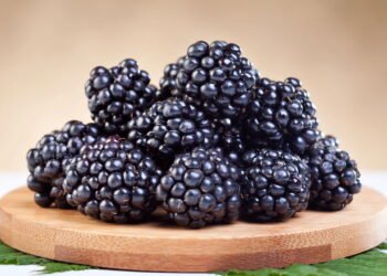 Veja exatamente o que acontece com seu corpo se você comer amoras todos os dias