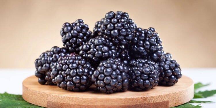 Veja exatamente o que acontece com seu corpo se você comer amoras todos os dias