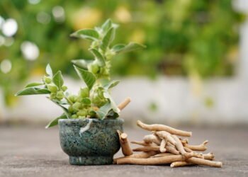 O suplemento natural que auxilia no combate à fadiga mental