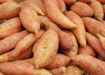 O que acontece com seu corpo quando você come batata-doce japonesa regularmente