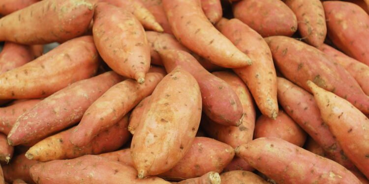 O que acontece com seu corpo quando você come batata-doce japonesa regularmente
