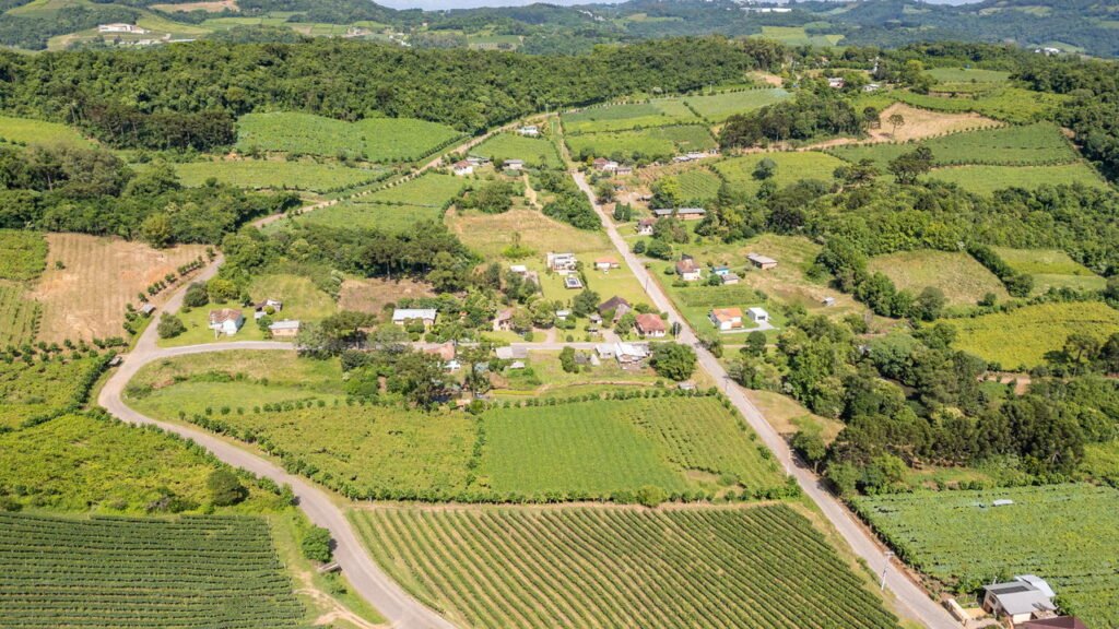 Cidade gaúcha com clima europeu e vinícolas famosas é referência em turismo e qualidade de vida