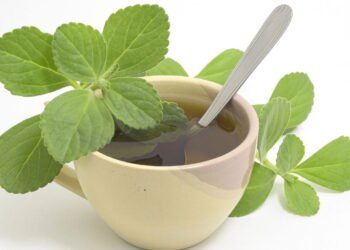 Chá popular aumenta a imunidade e fortalece o fígado