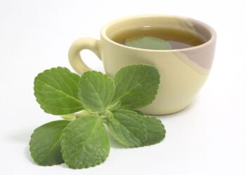 Chá popular aumenta a imunidade e fortalece o fígado