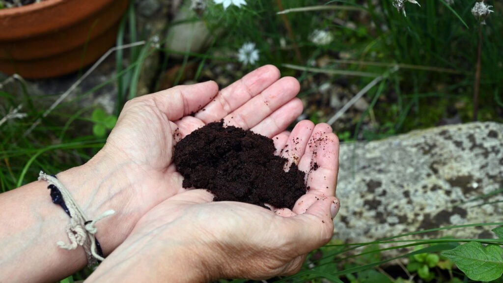 O adubo mais fácil e eficiente para suas plantas crescerem saudáveis