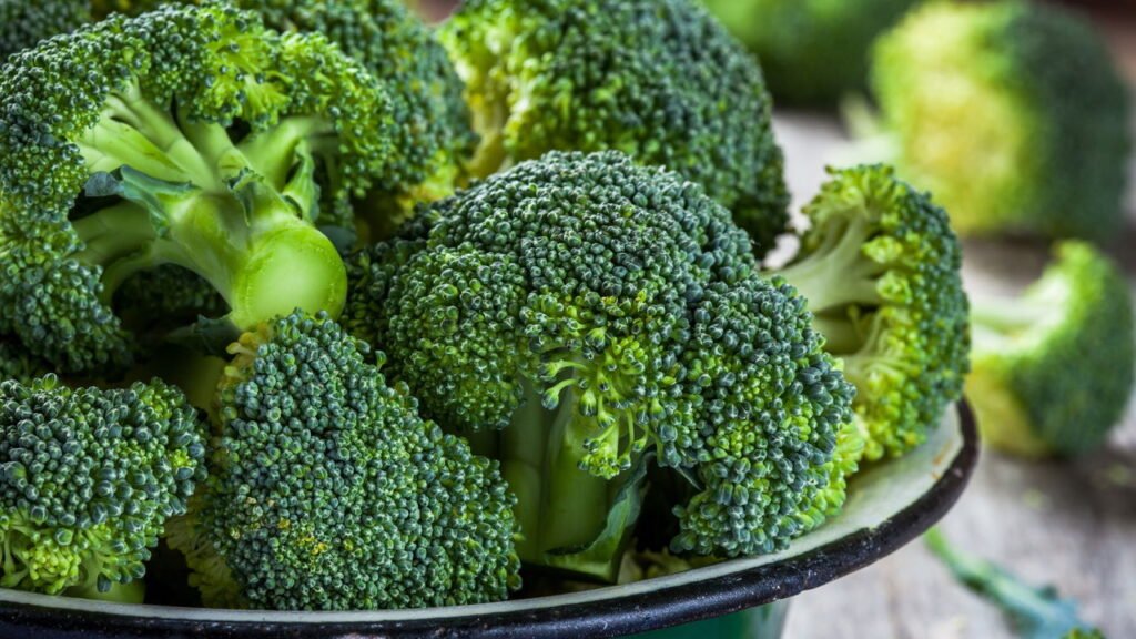 Brócolis cresce em casa com só 4 horas de sol e dá colheita em até 90 dias