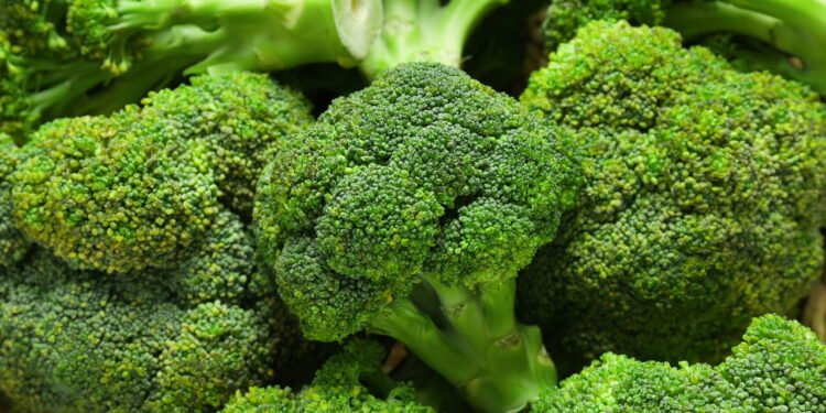 Sem bicarbonato de sódio ou água sanitária: o truque para lavar brócolis e eliminar todos os vermes em 5 minutos