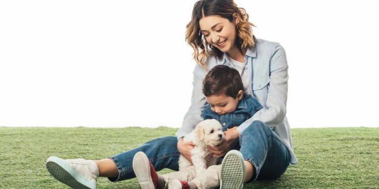 Cães - Créditos: depositphotos.com / AndrewLozovyi