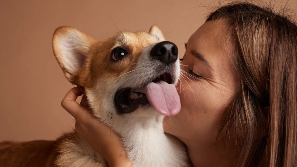 O que significa quando o seu cão olha nos seus olhos por um longo tempo, de acordo com especialistas