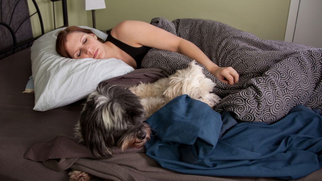 Segundo a psicologia, as pessoas que dormem na mesma cama que seus animais de estimação geralmente apresentam 7 características