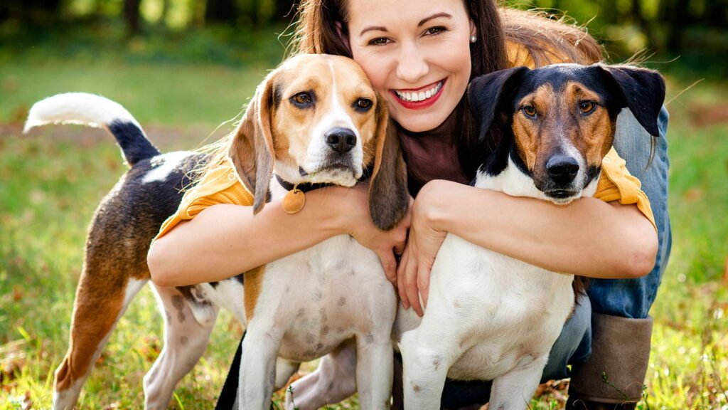 Pequenas e adoráveis ​​coisas que nossos animais de estimação fazem para mostrar que nos amam