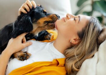 A raça de cachorro mais protetora do dono segundo especialistas