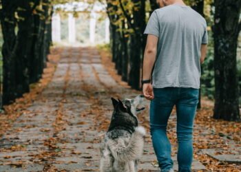 Por que caminhar em ladeiras queima mais calorias que no plano?