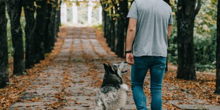 Por que caminhar em ladeiras queima mais calorias que no plano?