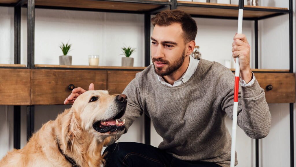 O que significa para uma pessoa ter um poodle como animal de estimação, segundo a psicologia?