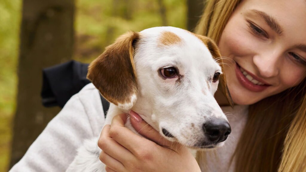 Onde acariciar seu cão para que ele se sinta mais feliz, segundo especialistas