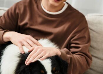 O que significa quando uma pessoa sempre acaricia cães, de acordo com a psicologia?