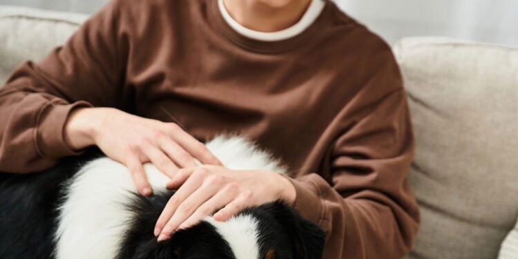 O que significa quando uma pessoa sempre acaricia cães, de acordo com a psicologia?