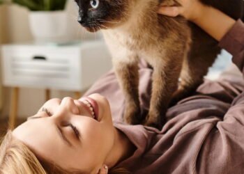 O que os gatos sentem quando você coça a barriga deles, segundo especialistas em comportamento felino