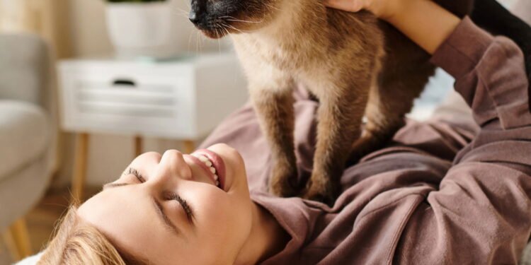 O que os gatos sentem quando você coça a barriga deles, segundo especialistas em comportamento felino