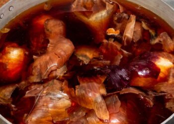 Se você tem cascas de cebola, não as jogue fora, ferver elas pode ser surpreendente