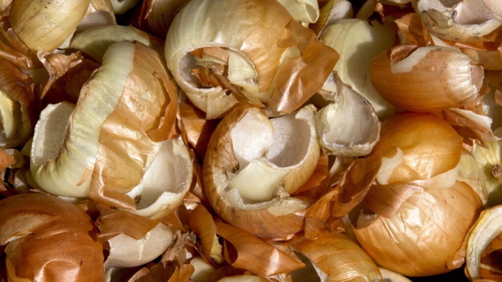 Se você tem cascas de cebola, não as jogue fora, ferver elas pode ser surpreendente