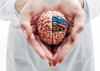 6 hábitos que os neurologistas juram manter seus cérebros afiados