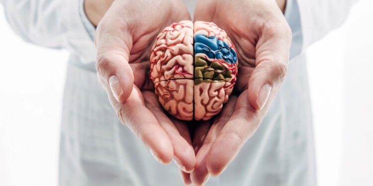 6 hábitos que os neurologistas juram manter seus cérebros afiados