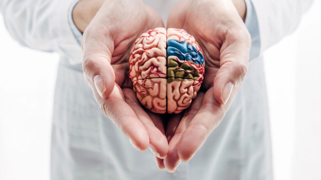 Cientistas dizem que um aditivo alimentar comum resolveu um mistério cerebral de décadas