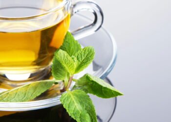 Estudo de Harvard revela que dieta especial pode retardar envelhecimento cerebral