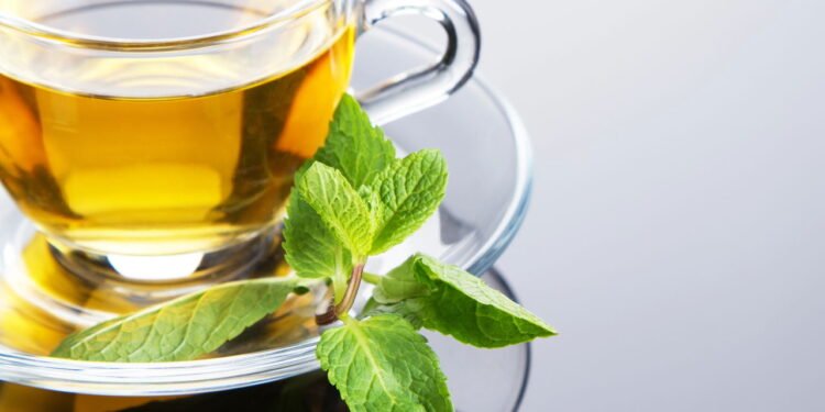 Estudo de Harvard revela que dieta especial pode retardar envelhecimento cerebral